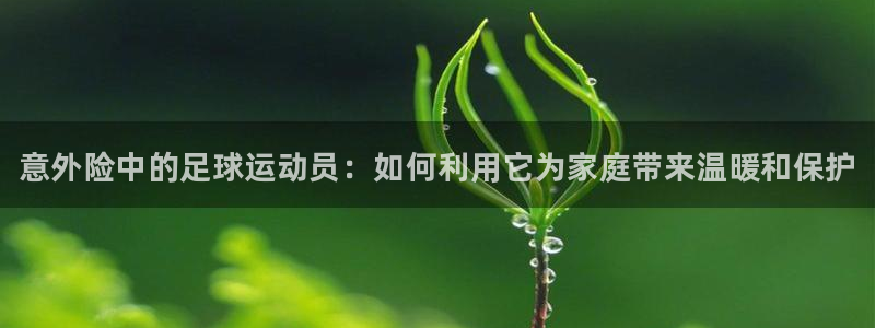 尊龙官方正版app娱乐40996：意外险中的足球运动
