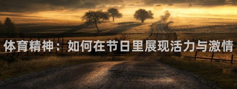 尊龙官网下载娱乐：体育精神：如何在节日里展现活力与激