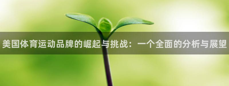 尊龙官网下载招商电话是多少：美国体育运动品牌的崛起与挑战：一
