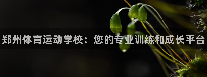 尊龙官网下载招商电话地址是多少：郑州体育运动学校：您