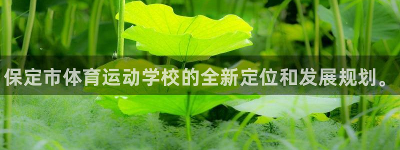 尊龙官方正版app集团E.ON：保定市体育运动学校的全新定位