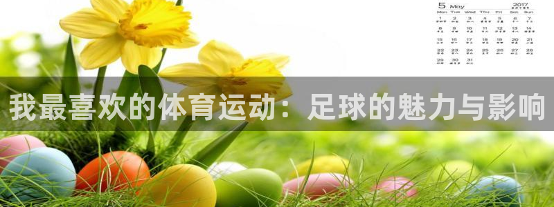 尊龙官方正版app娱乐代理怎么样：我最喜欢的体育运动