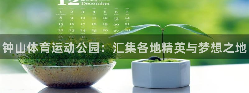 尊龙官网下载招商电话是多少：钟山体育运动公园：汇集各