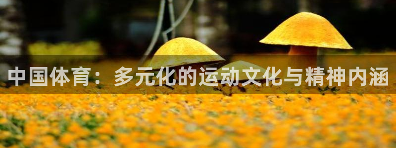 尊龙官网下载官方客服电话：中国体育：多元化的运动文化