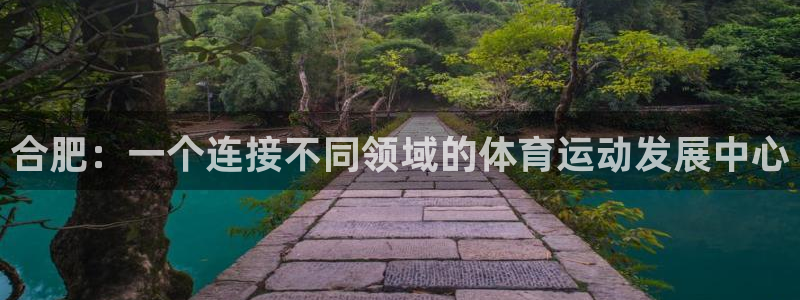 尊龙官网下载招商电话号码是多少啊：合肥：一个连接不同
