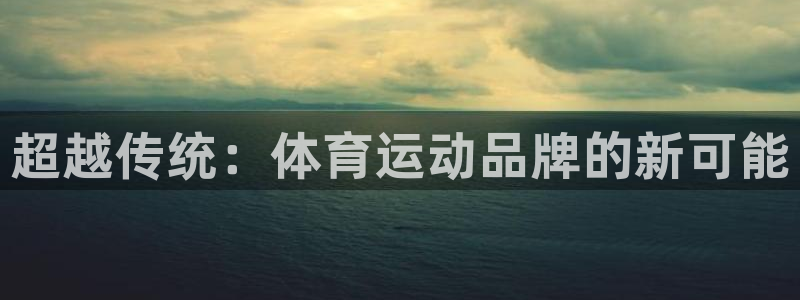 尊龙官方正版app集团官网首页：超越传统：体育运动品