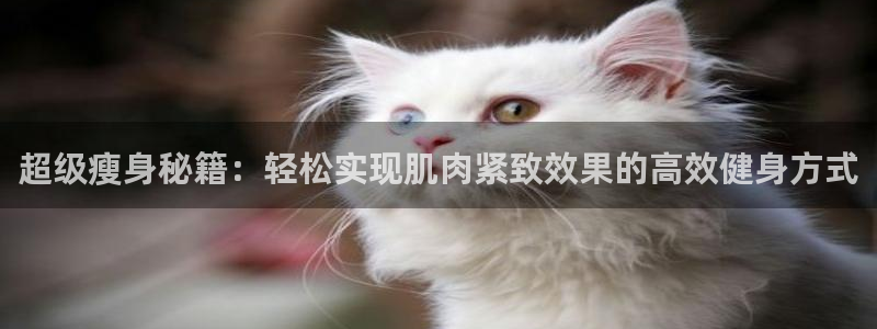 尊龙官方正版app娱乐下载