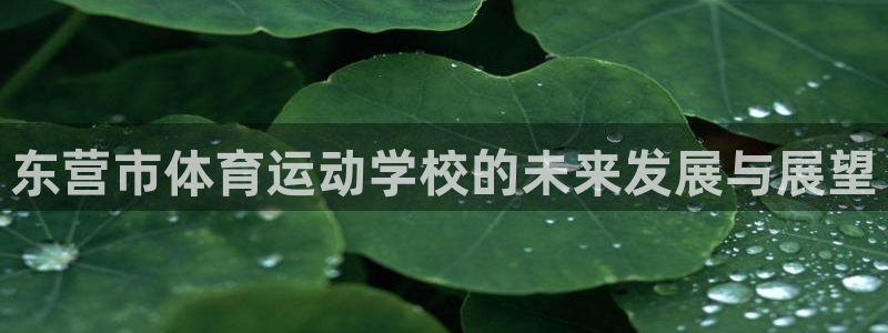 德国尊龙官方正版app集团：东营市体育运动学校的未来