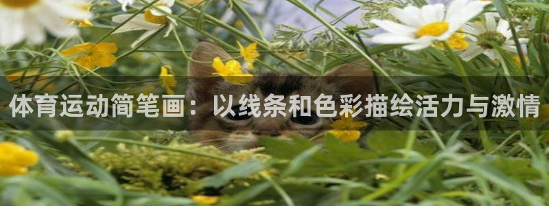尊龙官网下载招商电话号码是多少号：体育运动简笔画：以线条和色