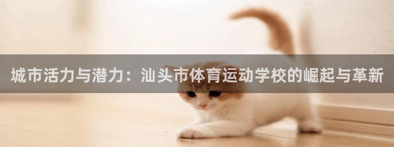 尊龙官网下载平台注册要钱吗是真的吗：城市活力与潜力：