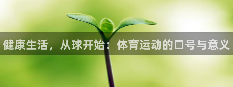 尊龙官网下载招商电话