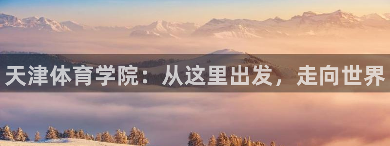 尊龙官方正版app新能源