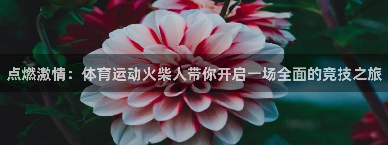 尊龙官网下载平台是正规平台吗安全吗：点燃激情：体育运动火柴人