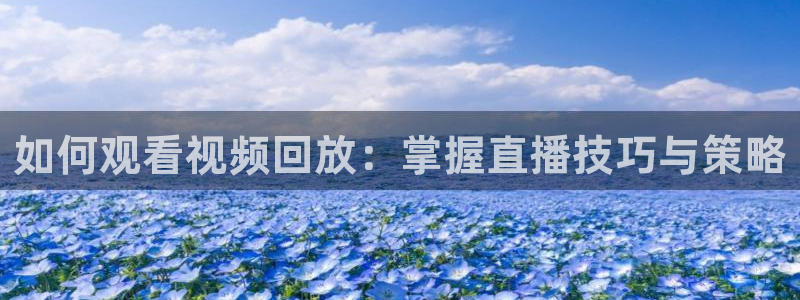 说球帝足球直播在线观看免费：如何观看视频回放：掌握直播技巧与策略