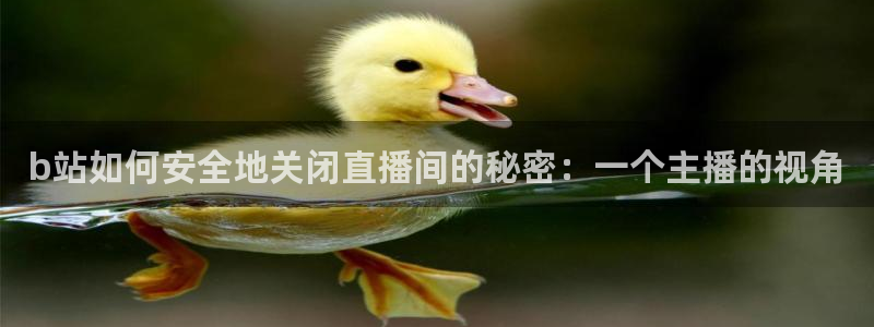 说球帝体育在线直播：b站如何安全地关闭直播间的秘密：一个主播的视角